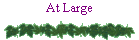 At Large