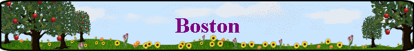 Boston