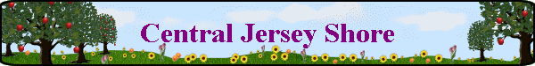 Central Jersey Shore