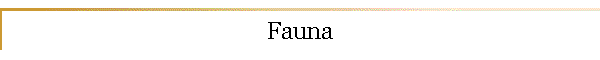 Fauna