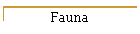 Fauna