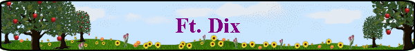 Ft. Dix