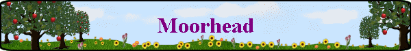 Moorhead