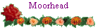 Moorhead