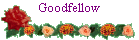 Goodfellow