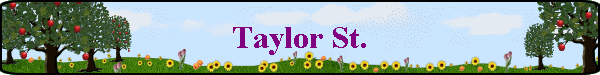 Taylor St.