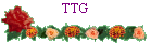 TTG