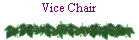 Vice Chair