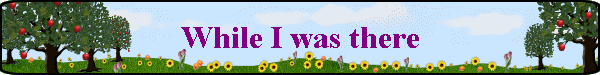 While I was there